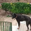 Manuel Fontes - @manuel.fontes44 - TikTok
