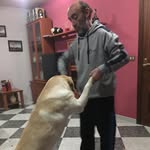 Manuel Fraga - @fraga9841 - Instagram