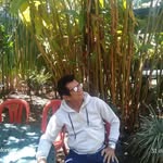 Jose Manuel Freile Nieves - @josemanuelfreilenieves - Instagram