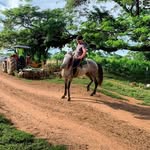 Manuel Alejandro Galban - @manuelgalban50 - Instagram