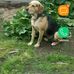 Manuel Garces - Facebook
