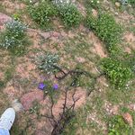 𝓜𝓪𝓷𝓾𝓮𝓵 𝓖𝓪𝓻𝓲𝓫𝓪𝔂 - @mn_garibay - Instagram