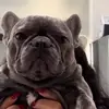 manuel4gr6garrett - @manuel4gr6garrett - TikTok
