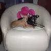 Manuel Garzon - @manuel.garzon3 - TikTok