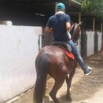 @ManuelGarzon - @manuel.garzon - Instagram