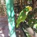 Manuel Gasca - Facebook