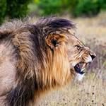 Manuel Gatica - @manuel.gatica.587 - Instagram