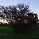 Manuel Gatica - @anitarenzotomasgatica - Instagram