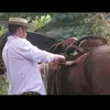manuelgatica855 - @manuelgatica855 - TikTok
