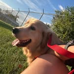 Manuel Gavidia Jr. - @manueljr.jpg - Instagram