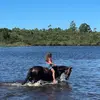 Manuelagill_ - @manuelagill_ - TikTok