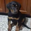 Manuel Grimaldo - @manuel.grimaldo62 - TikTok