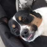 Manuel Hammer - @m.c.hammer81 - Instagram