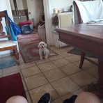 Manuel Harrison - Facebook
