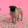 Мануель - @manuelhill1977 - TikTok