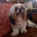 Manuel Ilagan - Facebook