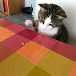 Manuel Keller - @m_anu.el_ - Instagram