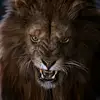 manuel king - @manuel.king307 - TikTok