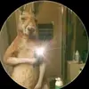 Manuel King - @manuel.king8900 - TikTok