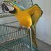 Manuela Kraft - Facebook