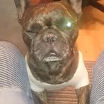 Manuel Kramer - @manuel.kramer.75685 - Instagram