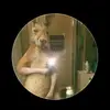 ordońes mas - @manuelleonardoord - TikTok