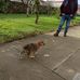 Manuel Leston - Facebook
