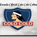 Manuel Letelier - @escuelaoficialcolocolocolina - Instagram