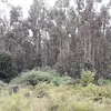 Manuel Letelier - @manuelletelier3 - TikTok