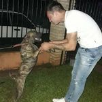 Manuel Lezcano - @lezcano4796 - Instagram