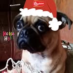 Manuel_Light - @manuel_light2 - Instagram