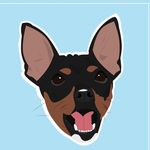M A N U E L I T O 🐾 - @manuel.littlepinscher - Instagram