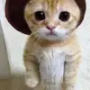 Manueltwolittleforyou🏈⚾️🇲🇽 - @manetowlittleforyou - TikTok