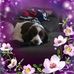 Manuela Locke - Facebook