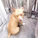 Manuel Loor - @manuel.loor.792 - Instagram