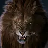 Manuel Lucius - @manuel.lucius3 - TikTok