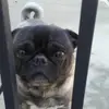 jmanuellutz - @jmanuellutz2 - TikTok