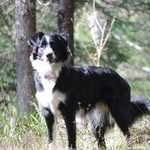 Manuel Lutz - @manuel.lutz83 - Instagram