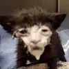 manuelluva11 - @manuelluva11 - TikTok