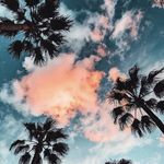 Manuel Magallon Chopo - @magallonchopo - Instagram