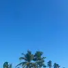 Manuel Magallon - @manuel.magallon6 - TikTok