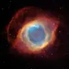 Manuel Magallon Ramtha - @manuel.magallon.r - TikTok