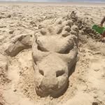 Manuel Maggioni - @manuelmaggioni - Instagram
