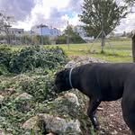 Manuel Pio Maggio - @maggio_manuel - Instagram