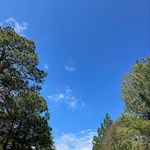 Manuel Mancinas - @manuel_mancinas1 - Instagram