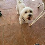 Manuel Manso - Facebook
