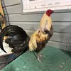 manuelmartinez3653 - @manuelmartinez3653 - TikTok