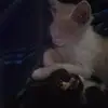 Manuel Maravi - @manuel.maravi4 - TikTok