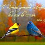 Manuel Maravi Mendizabal - Facebook