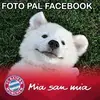 manuelmaravi7777 - @manuelmaravi7777 - TikTok